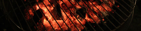 pollo e la vocale