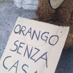 oranghi a piazza Venezia per Greenpeace